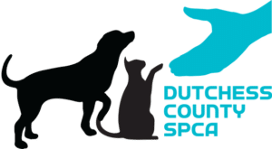 Dutchess County SPCA